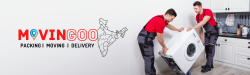Movingoo Packers & Movers – Trusted Relocation Services India