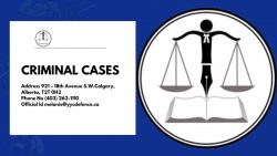Experienced Legal Support for Complex Criminal Cases