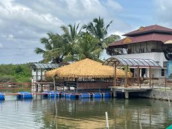 Enhance Your Space with an Authentic-Looking Artificial Thatch Roof