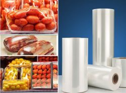 Climate Chameleon: Adaptive Algorithms in Food Preservation