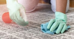 Expert Stain Removal by Steam Squad in New York, USA
