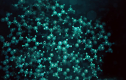 custom immune checkpoint protein development