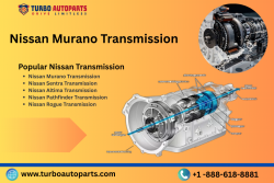 Buy 2009 Nissan Murano Used Transmission