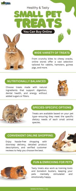 Healthy & Tasty: Small Pet Treats You Can Buy Online