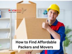 How to Find Affordable Packers and Movers – Movingoo