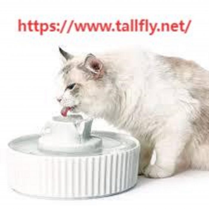Tallfly: Your Go-To Pet Hair Remover Comb Company for Pet Care Solutions