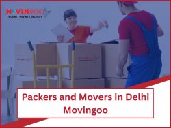 Packers and Movers in Delhi – Movingoo