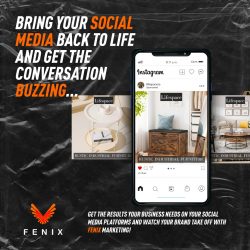 Social Media Agency Johannesburg: Fenix Expertise
