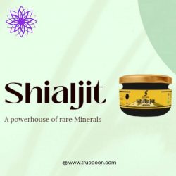 Best Shilajit Fulvic Acid Supplement Benefits