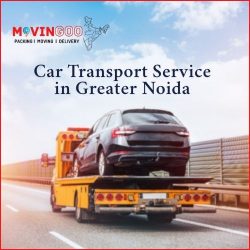 Car Transport Service in Greater Noida – Movingoo