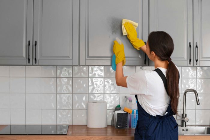Best Chandigarh Maid Service Near You