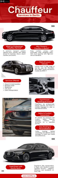 Professional Chauffeur Services in Berlin