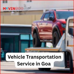 Vehicle Transportation Service in Goa – Movingoo