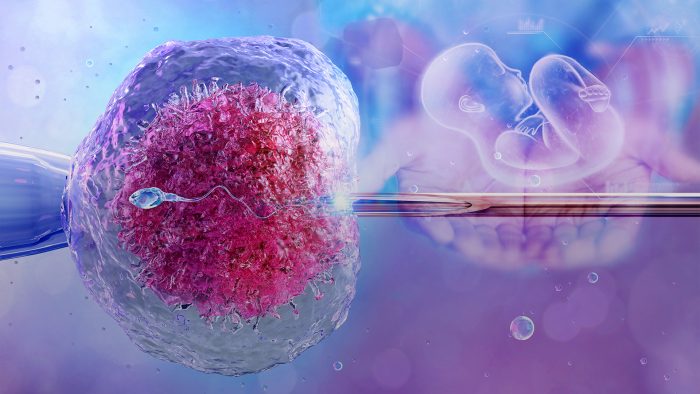 Searching for the Best IVF Clinic in Dubai?