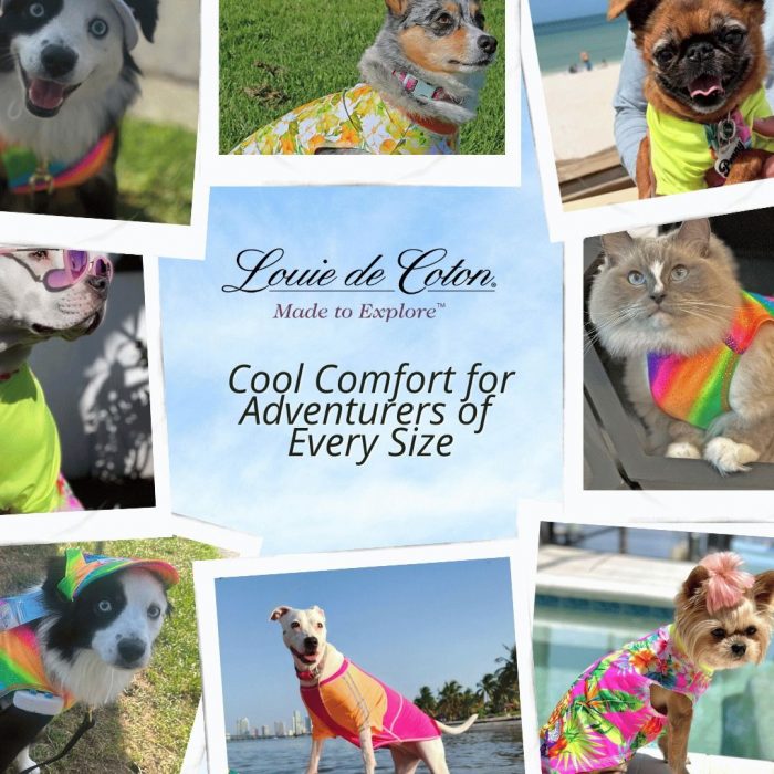 Stylish & Comfortable Clothes for Dogs and Cats