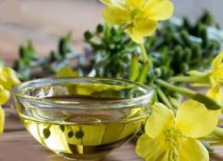 Evening primrose oil CAS:90028-66-3