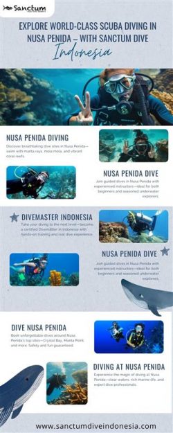 Explore World-Class Scuba Diving in Nusa Penida – With Sanctum Dive Indonesia