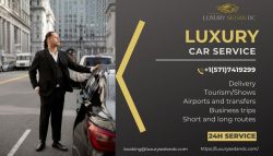Premium Comfort with Our Luxury Car Service