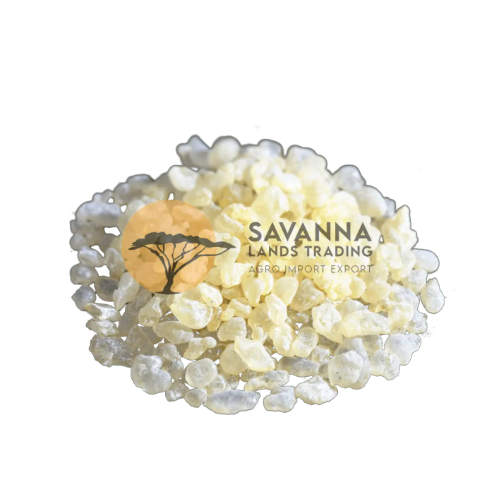 Trusted Mastic Gum Supplier for Quality Products