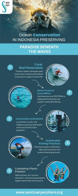 Ocean Conservation in Indonesia: Preserving Paradise Beneath the Waves