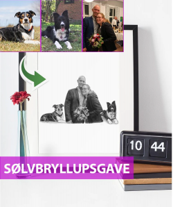 Persönliches Geschenk zur Silbernen Hochzeit | Justkarikatur.dk