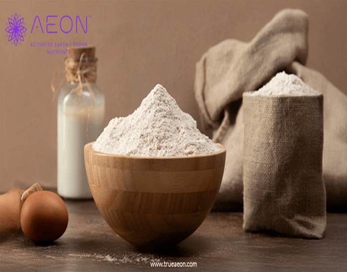 Best Whole Food Powder for Gut Health and Wellness