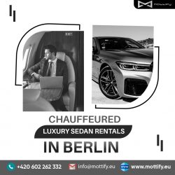 Chauffeured Luxury Sedan Rentals in Berlin