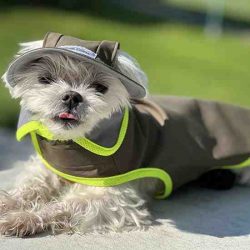 Cooling Hat for Dogs Lightweight Sun Protection Gear
