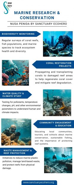 Marine Research & Conservation – Nusa Penida by Sanctuary Ecohero