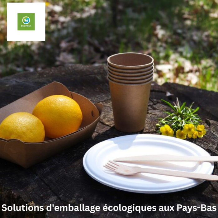 Solutions d’Emballage Ecologiques – Ecopack Pays-Bas