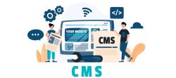 What is CMS for Web Development? A Total Direct for Tenderfoots & Developers