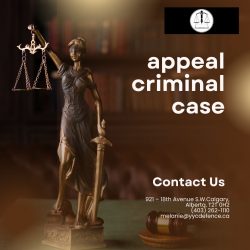 Appeal criminal case – Appeal lawyer