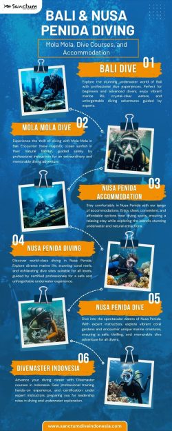 Bali & Nusa Penida Diving: Mola Mola, Dive Courses, and Accommodation