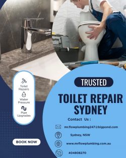 Toilet Repair Sydney