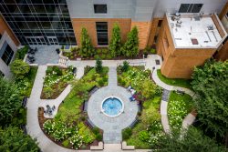 Innovative Solutions from a Skilled Landscape Architect in Philadelphia
