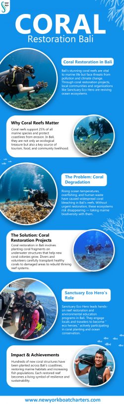 Coral restoration bali