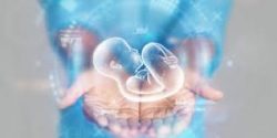 Why Choose a Dubai Fertility Center?