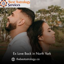 Ex Love Back in North York – Reconnect with Your Partner Using Proven Spiritual Methods