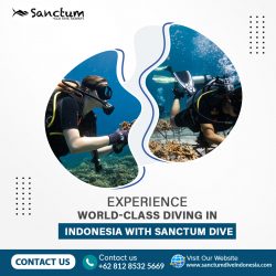 Experience World-Class Diving in Indonesia with Sanctum Dive