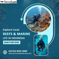 Explore Coral Reefs & Marine Life in Indonesia – Sanctum Dive