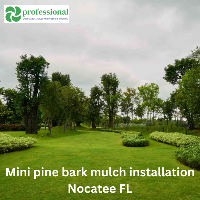 Mini Pine Bark Mulch Installation – Landscaping in Nocatee, FL