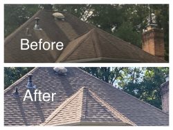 Professional Roof Tile Cleaning Service by A&R Roof & Hard Surface Cleaning