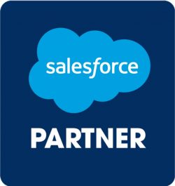 Salesforce Partner In India