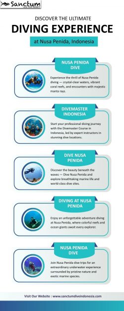 Discover the ultimate diving experience at Nusa penida indonesia
