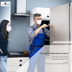 Domestic Fridge Repair Sydney