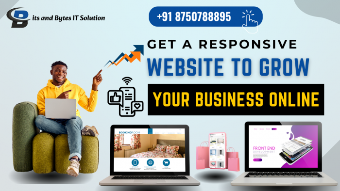 Best Website Development Service in Noida | Bits and Bytes IT Solution