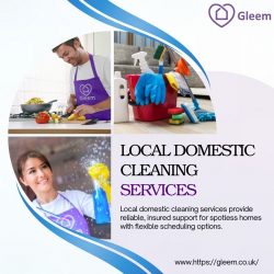 Local Domestic Cleaning Services | Gleem Cleaning
