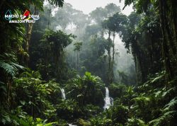 Manu Wildlife Peru Tour – Discover the Heart of the Amazon Jungle