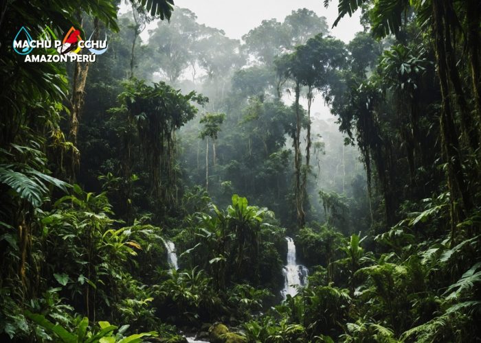 Manu Wildlife Peru Tour – Discover the Heart of the Amazon Jungle