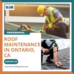 Professional Roof Maintenance in Ontario, CA